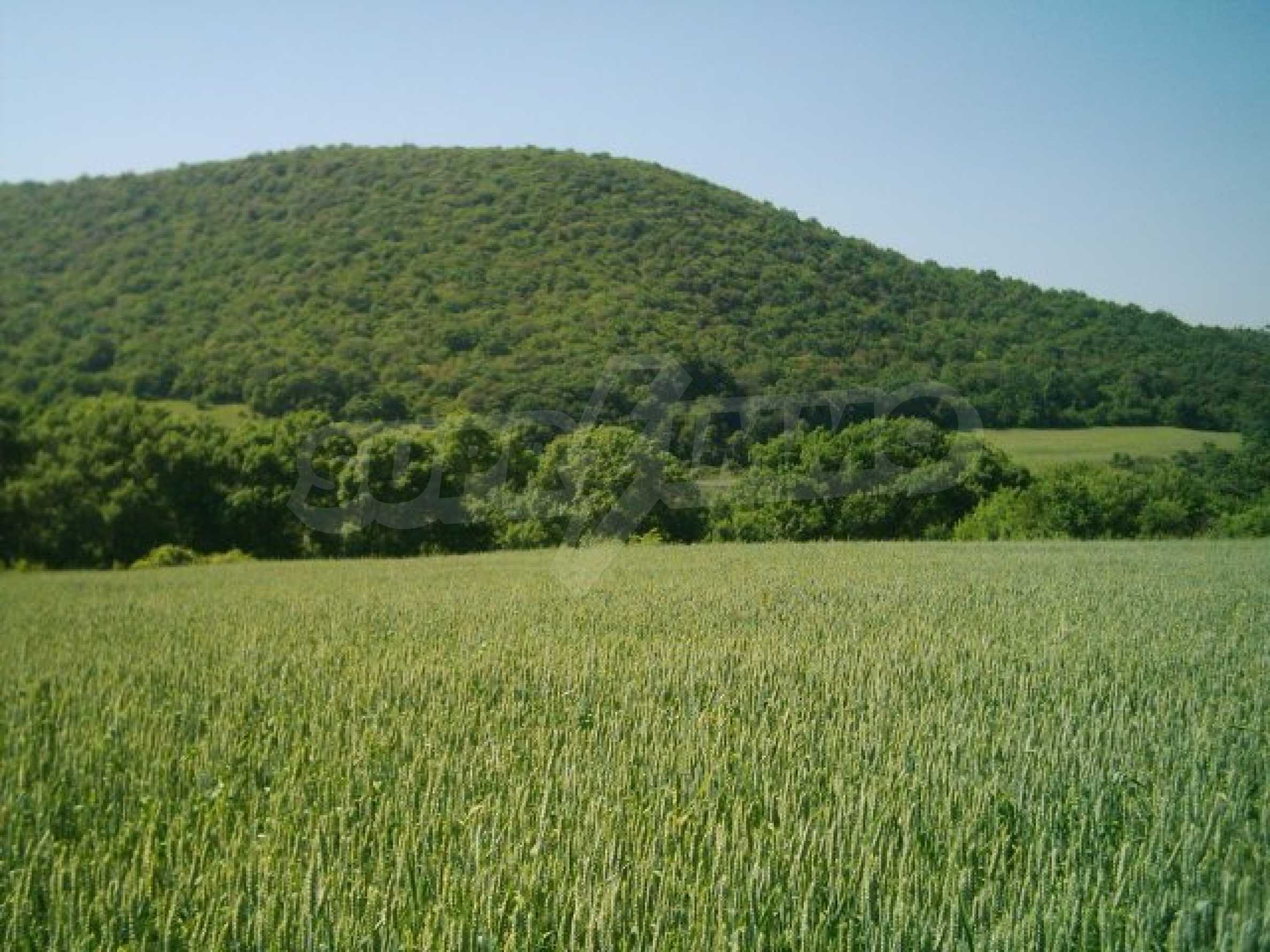 Земля болгария. Земельные участки Болгарии. Деревни Болгарии фото. Село медовое. Болгария деревня.