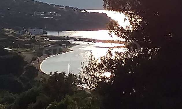 Ackerland в Paliouri