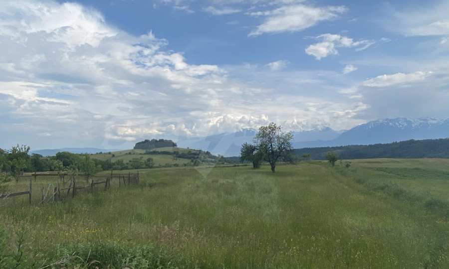 Sale of agricultural land in the village of Dobarsko