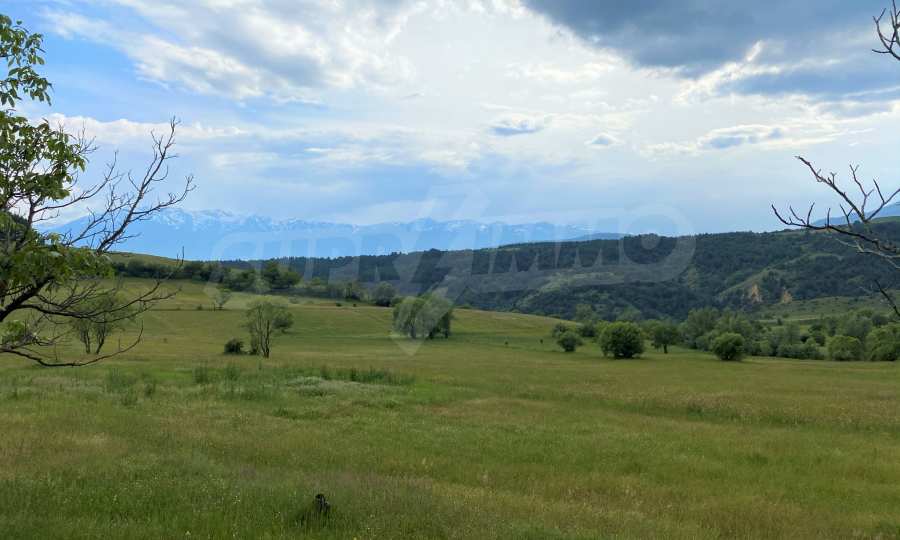 Sale of agricultural land in the village of Dobarsko