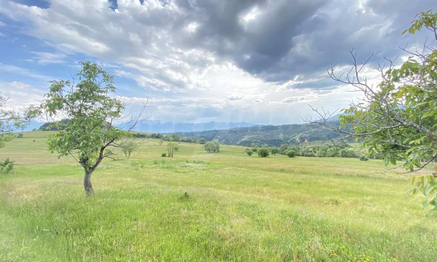 Sale of agricultural land in the village of Dobarsko