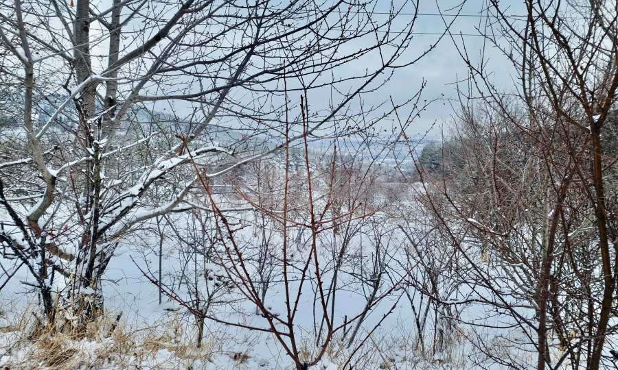 Agricultural land with a view to Vitosha Mountain and Sofia, in the village of Bistritsa
