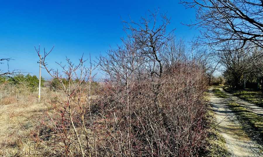 Земя близо до село Арбанаси 
