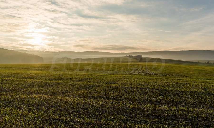 Plot of land facing an asphalt road and next to the river, in the peaceful village of Batuliya 