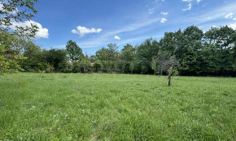 Property in a southern, sunny location with a project for two houses 