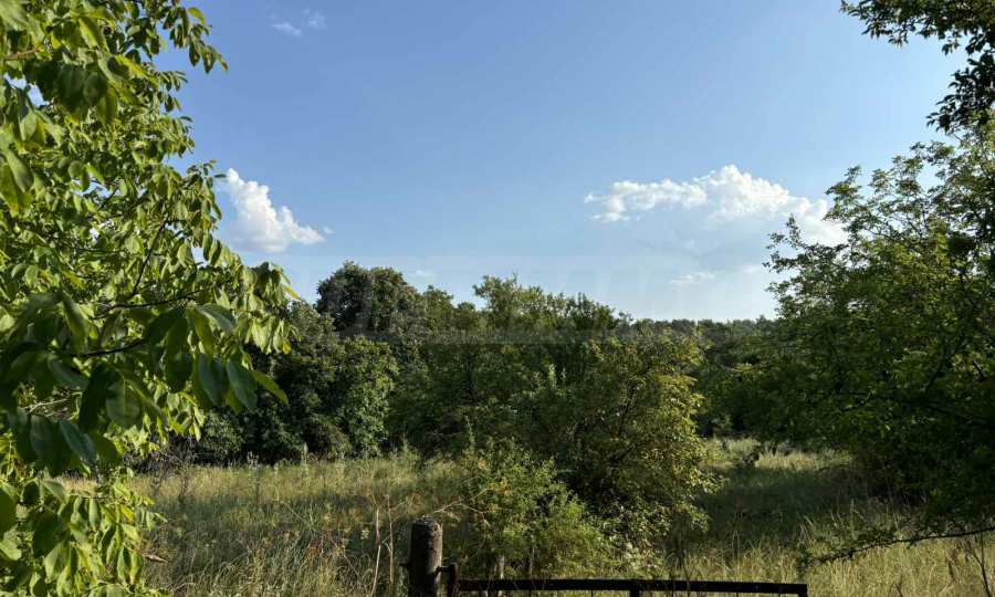 Property in a southern, sunny location with a project for two houses 