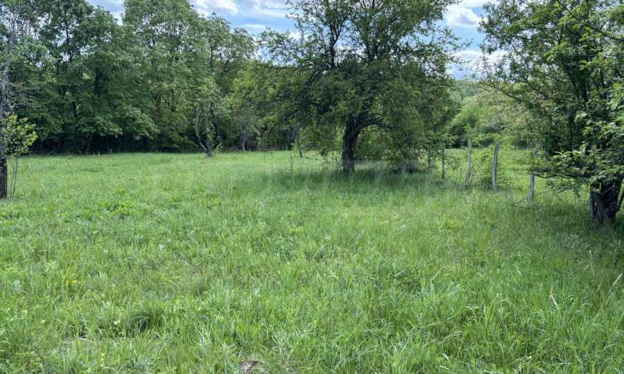 Property in a southern, sunny location with a project for two houses 