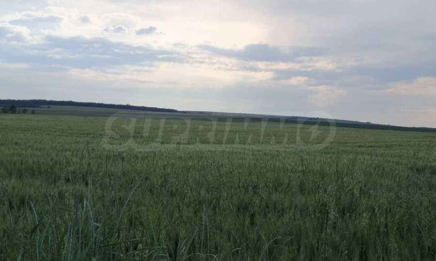 Plot of land in a quiet location and close to regulation in the village of Hrabarsko 