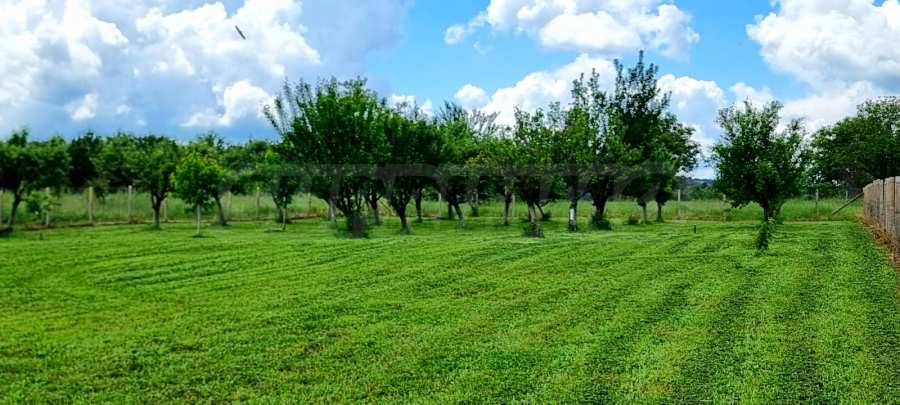 Plot of land for sale in regulation – Merdanya village 