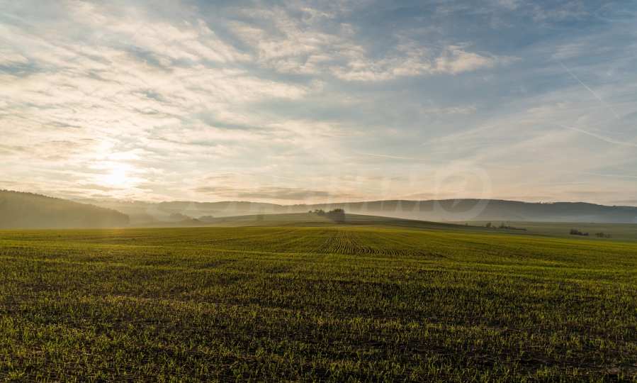 Agricultural lands near the village of Sturgel, Gorna Malina municipality 