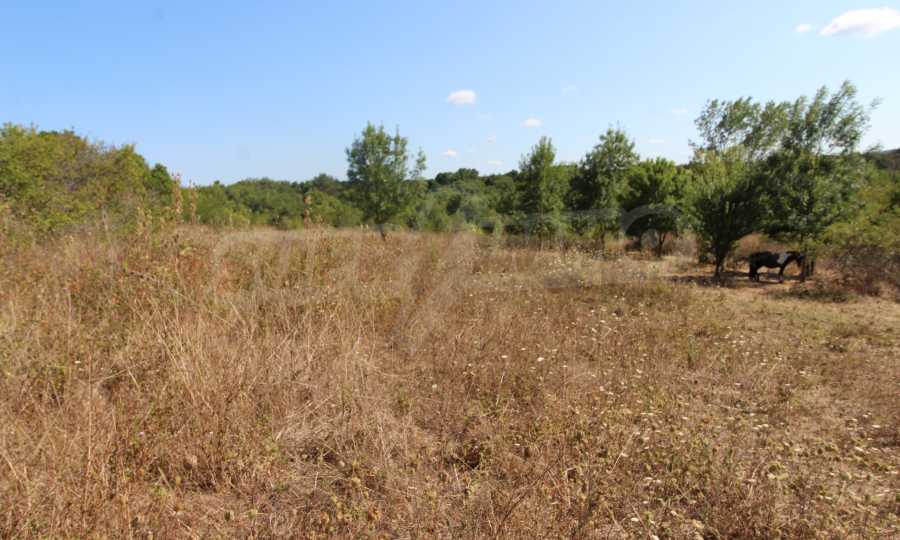 Земеделска земя за инвестиция в село Варвара