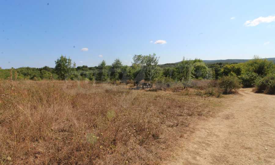 Земеделска земя за инвестиция в село Варвара