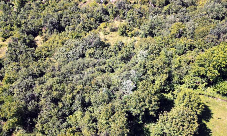 UPI f&uuml;r den Wohnungsbau in einem Dorf 17 km von Veliko Tarnovo entfernt