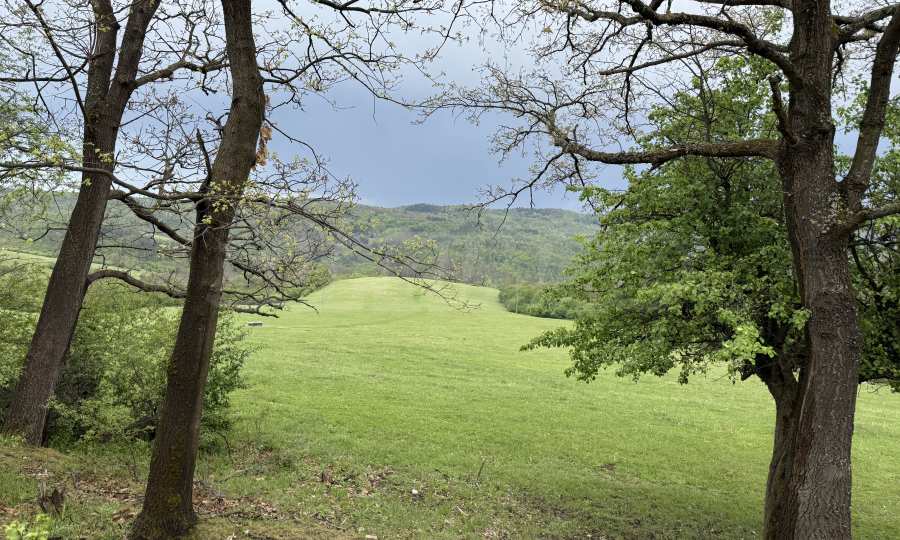 Земеделска земя в село Черновръх – 4 140 кв.м 