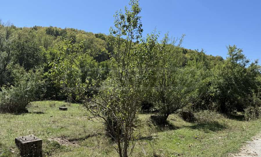 Gro&szlig;z&uuml;giges Grundst&uuml;ck mit Bauernhof und Hof in der N&auml;he von Veliko Tarnovo  