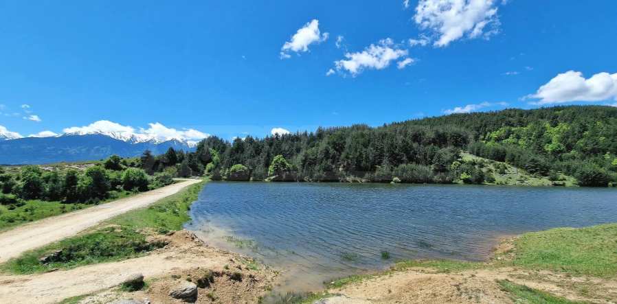 Парцел за продажба в село Бачево