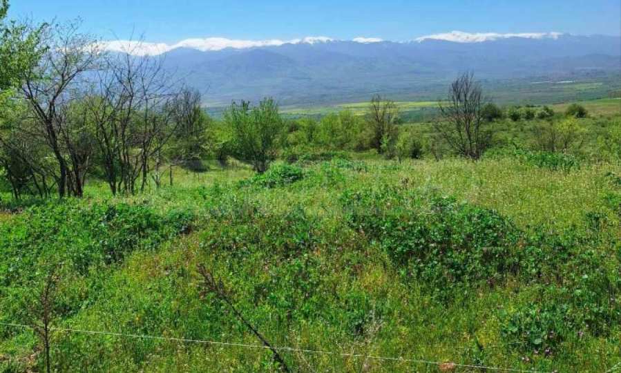 Парцели за инвестиция, с гледка към Рила в с. Горна Василица, област София