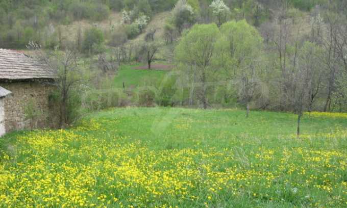 UPI in einem Dorf nur 20 km von Veliko Tarnovo entfernt  