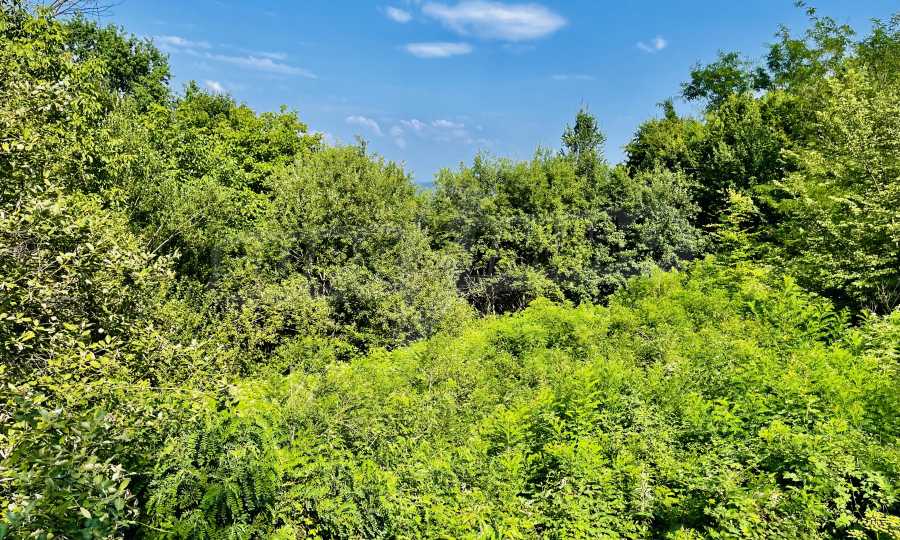 Grundst&uuml;ck mit wundersch&ouml;nem Panoramablick auf den Balkan und den Staudamm &bdquo;Yovkovtsi&ldquo;. 